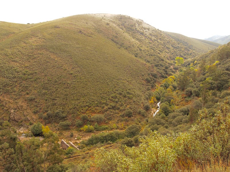spain_extremadura_goat_horn_river_walk_top_of_slope