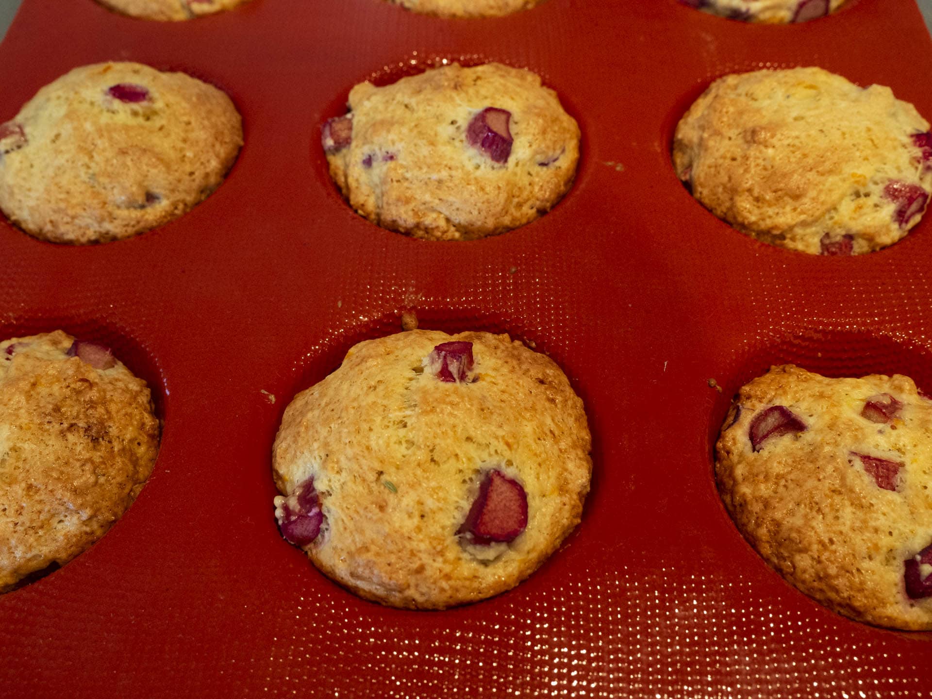 Rhubarb muffins