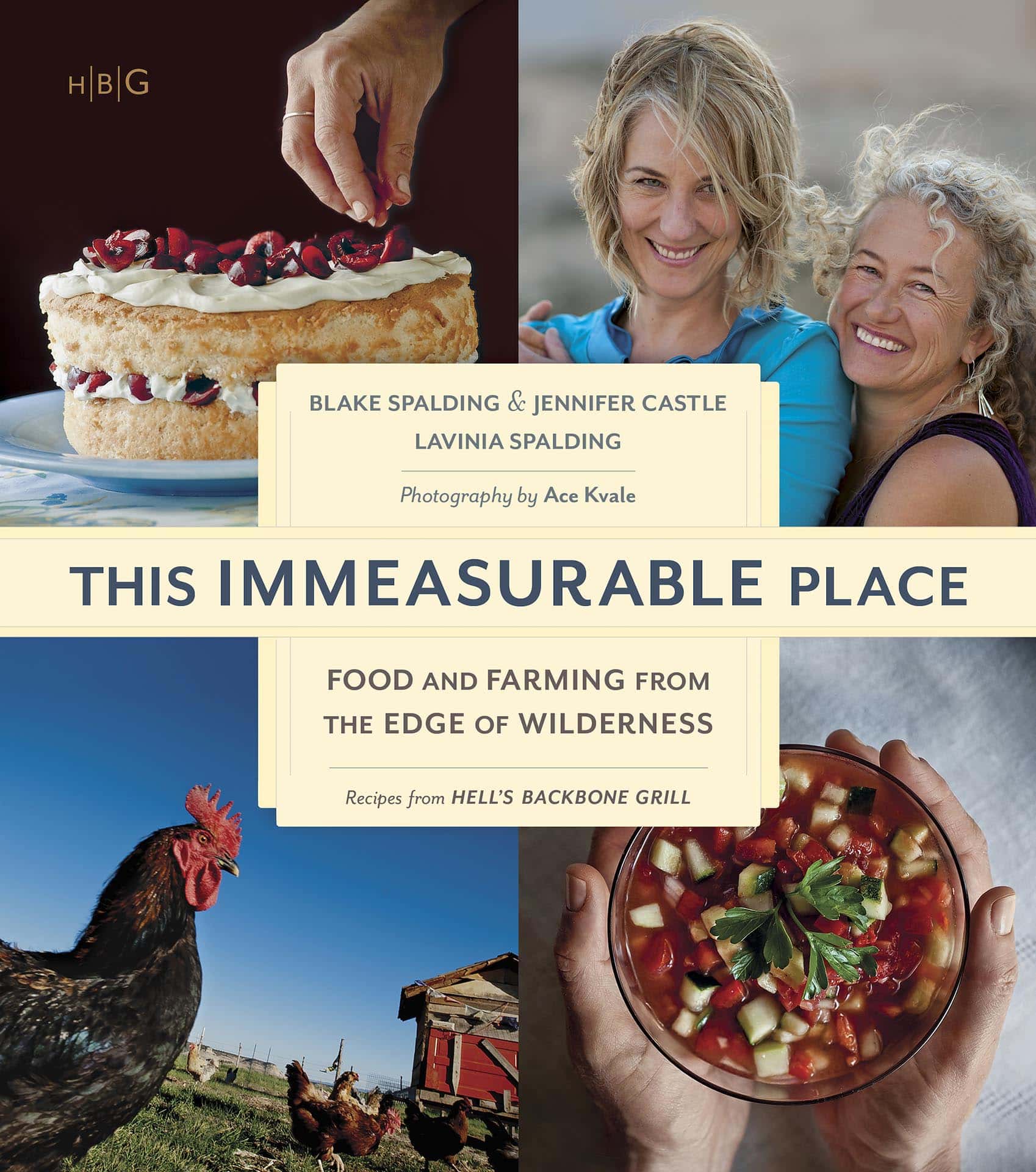 This Immesurable Place cookbook cover