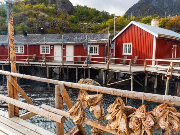 Nusfjord rorbuer (rowers’ huts), now a typical form of accommodation on Lofoten