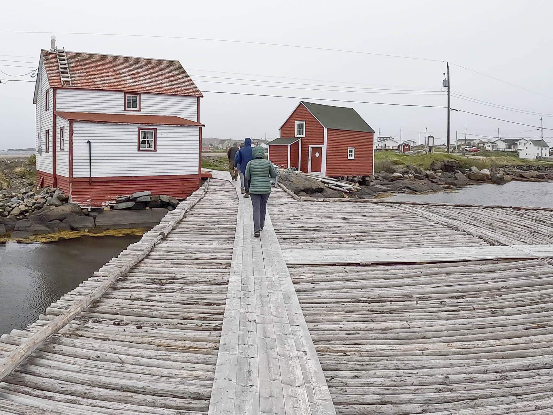 Tilting in the wind on Fogo Island
